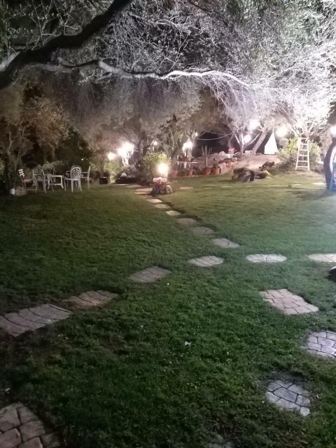 Il Falco Casa Vacanze - Cugnana - Porto Rotondo エクステリア 写真